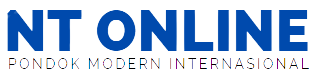 logo nt online